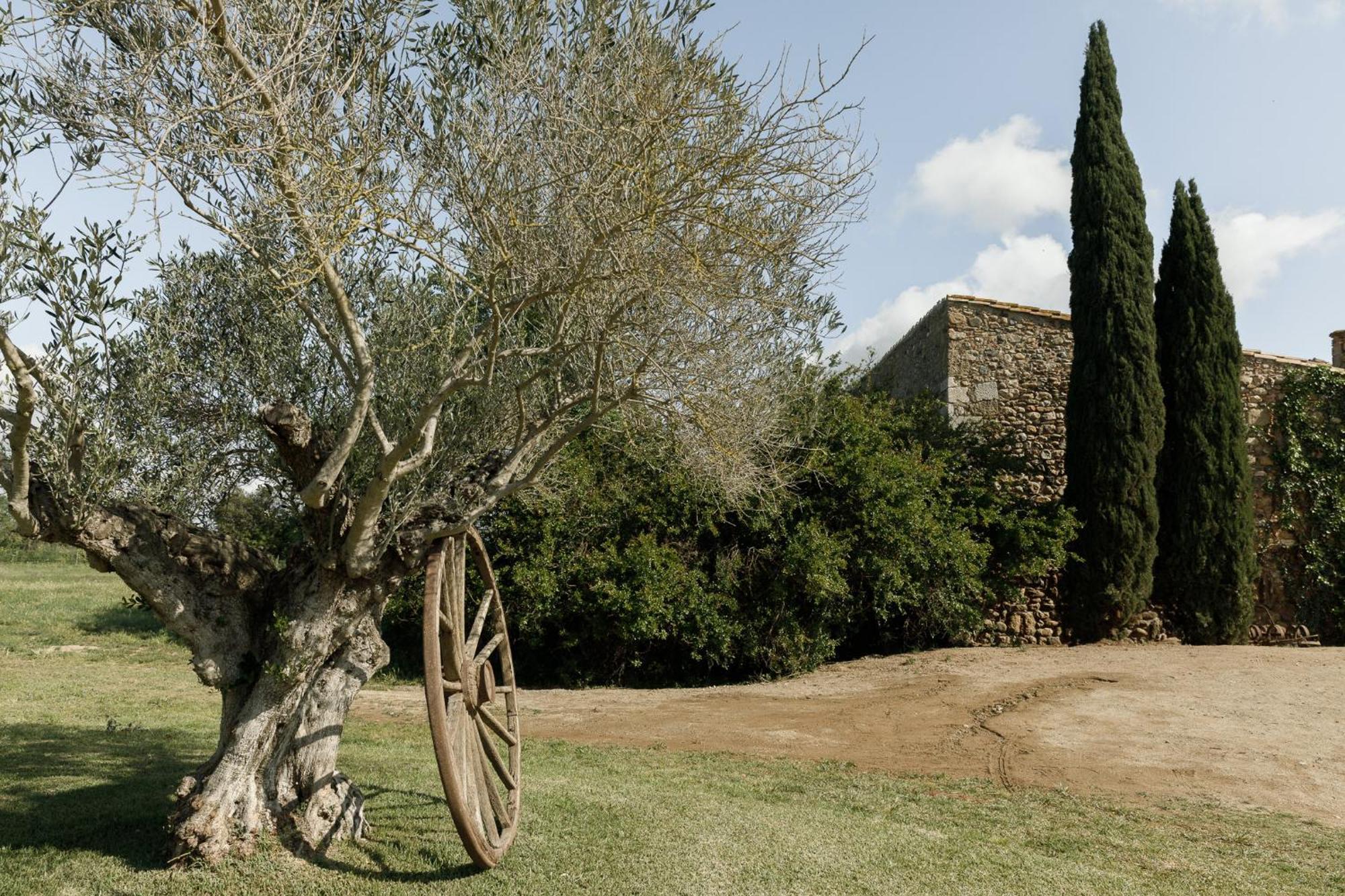 Hotel Castell De Vallgornera Peralada Dış mekan fotoğraf